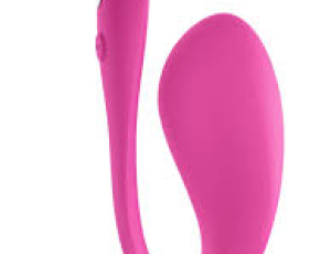We-Vibe Jive 2 App Controlled Rechargeable Love Egg Vibrator